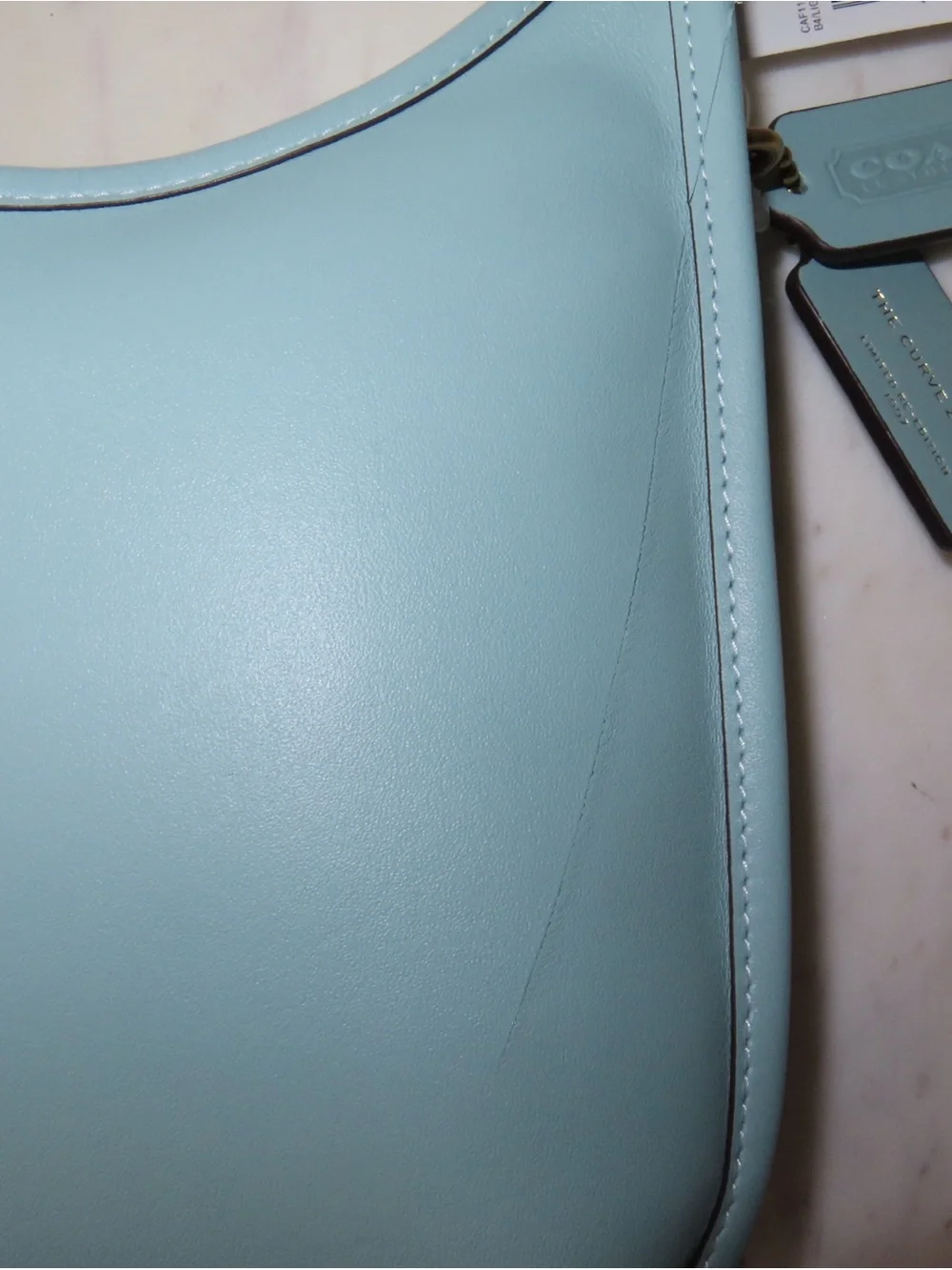COACH Glov Curve Zip Bag in Light Blue